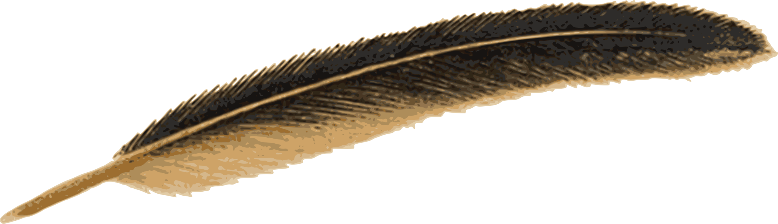 Feather Pen PNG Transparent Images Free Download