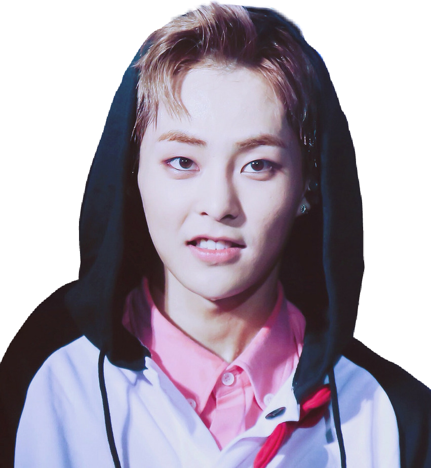 Xiumin Exo Xiumin Png , Png Download - Xiumin Animal Costume, Transparent  Png, free png download | PNG.ToolXoX.com