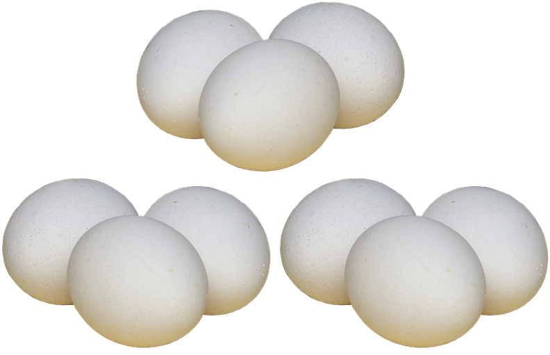 Boiled Egg PNG Transparent Images Free Download