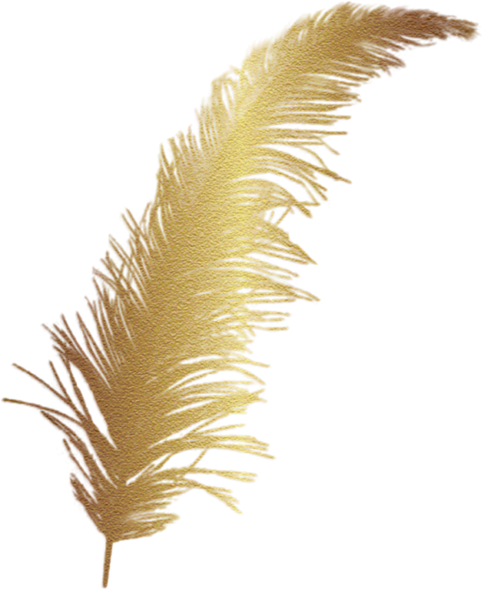 golden feather design 24599586 PNG