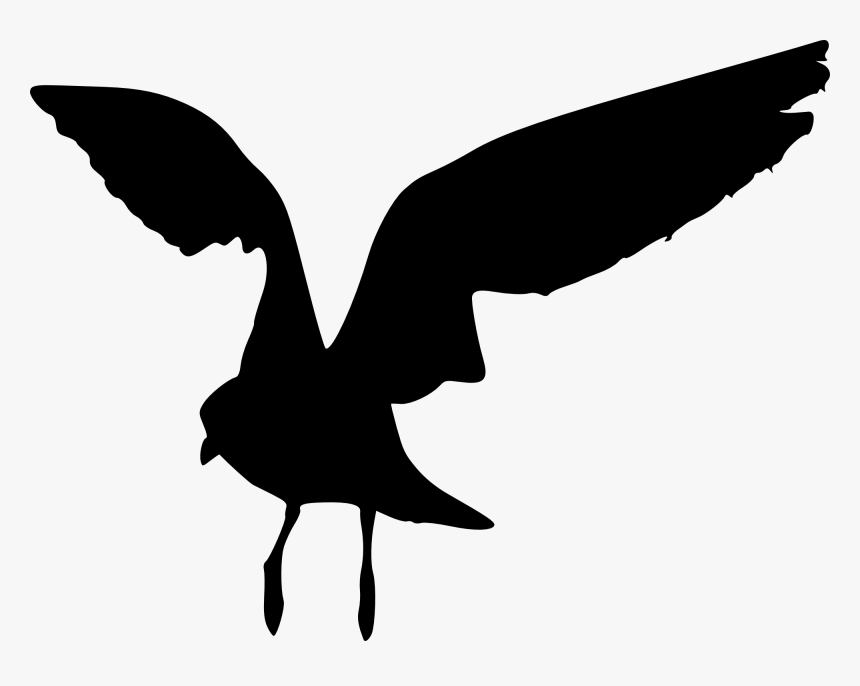 Sea Bird Silhouette Png, Transparent Png, Free Download