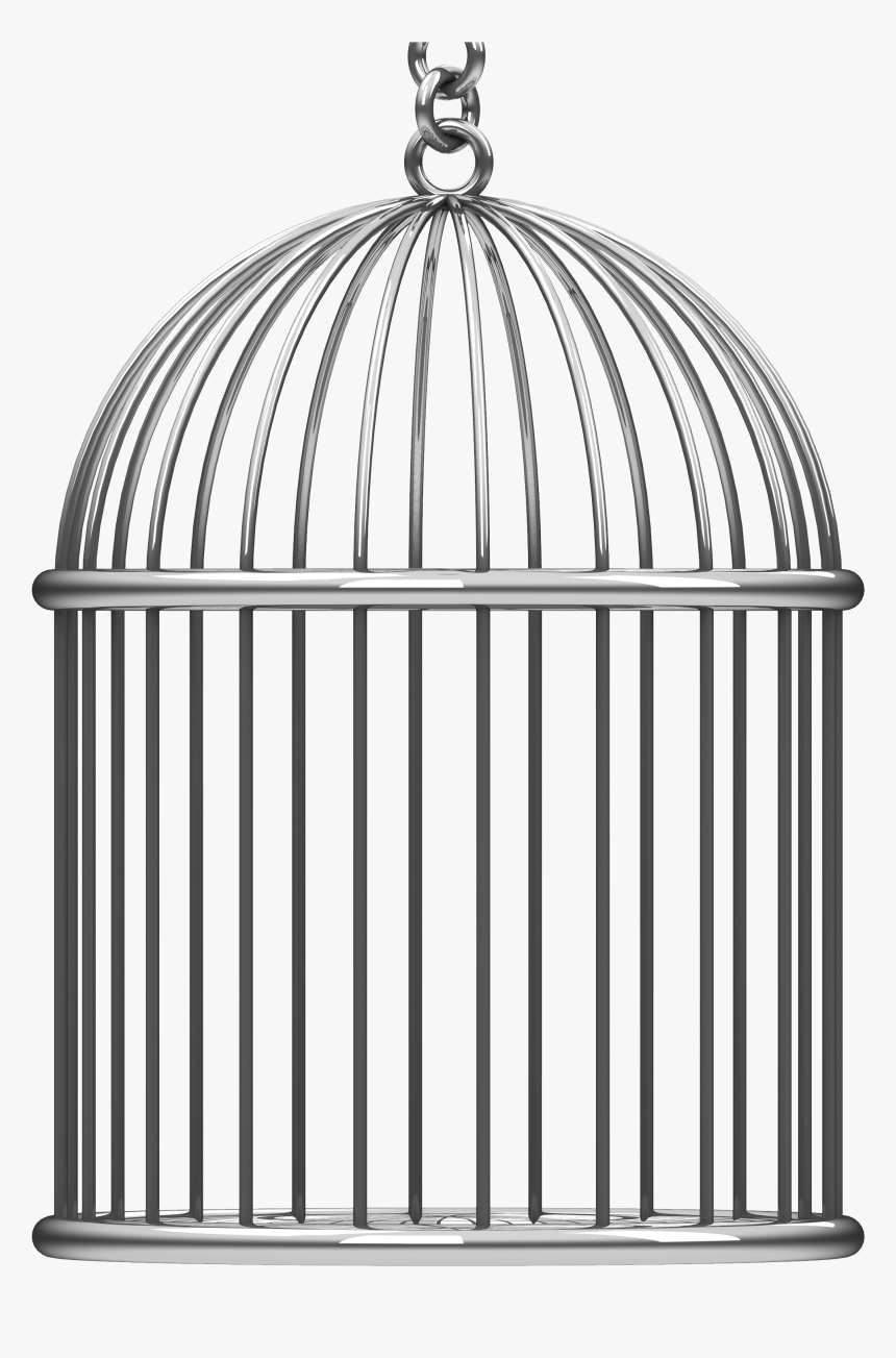 Cage Bird Png - Cage Png, Transparent Png, Free Download
