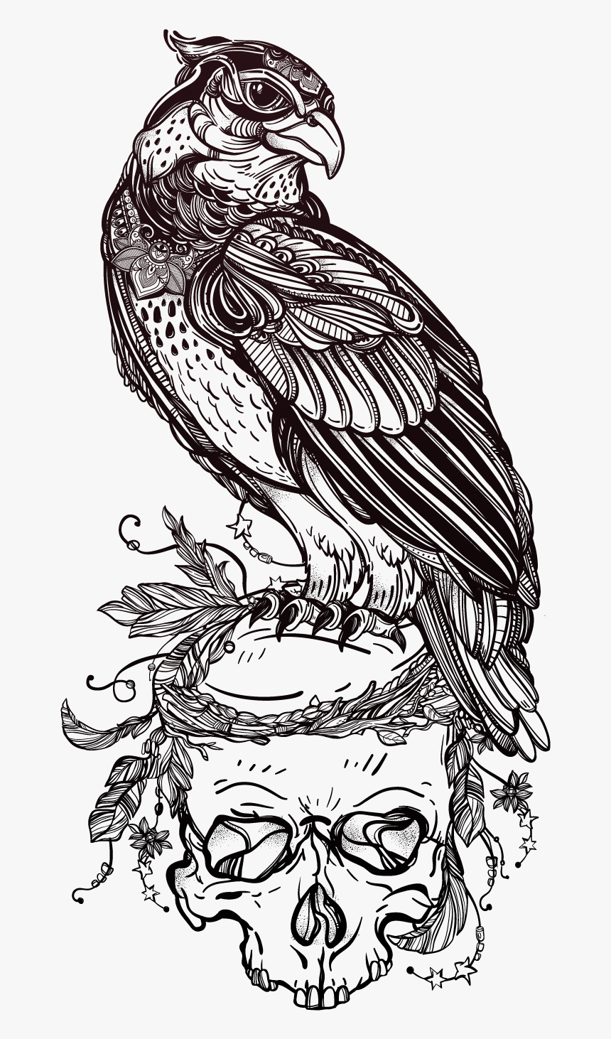 Tattoo Illustrator Skull Owl Of Material Bird Clipart - Bird Tattoo Outline Designs, HD Png Download - kindpng Tattoo Illustrator Skull Owl Of Material Bird Clipart - Bird Tattoo Outline Designs, HD Png Download - kindpng