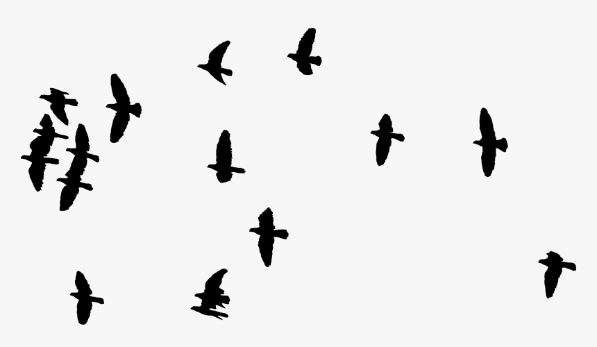 Flock Of Flying Birds Silhouette - Flock Of Birds Transparent, HD Png Download, Free Download