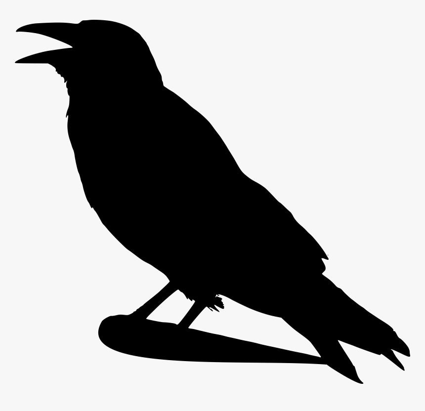 Raven Bird Png Clipart - Crow Clipart, Transparent Png, Free Download