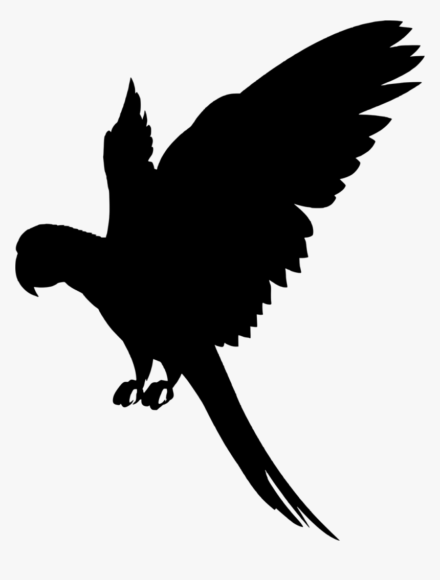 Colorful Flying Bird Png - Vector Flying Bird Png, Transparent Png, Free Download