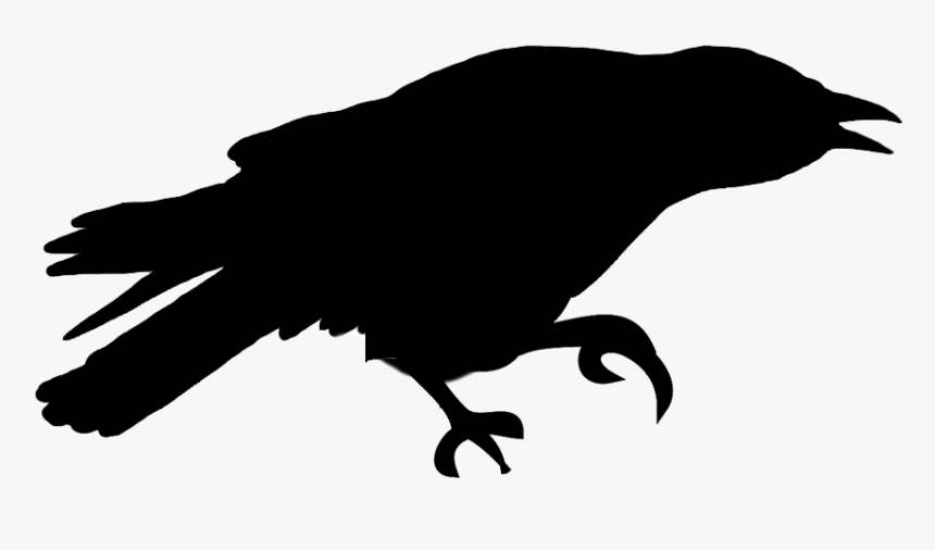 Chattering Bird Silhouette - Outline Flying Raven Silhouette, HD Png Download, Free Download