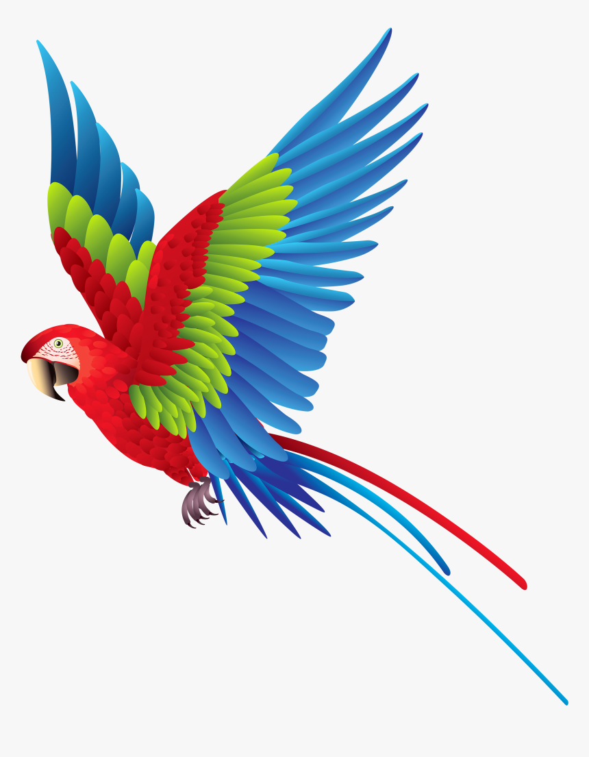 Colourful Parrot Png Clipart, Transparent Png, Free Download