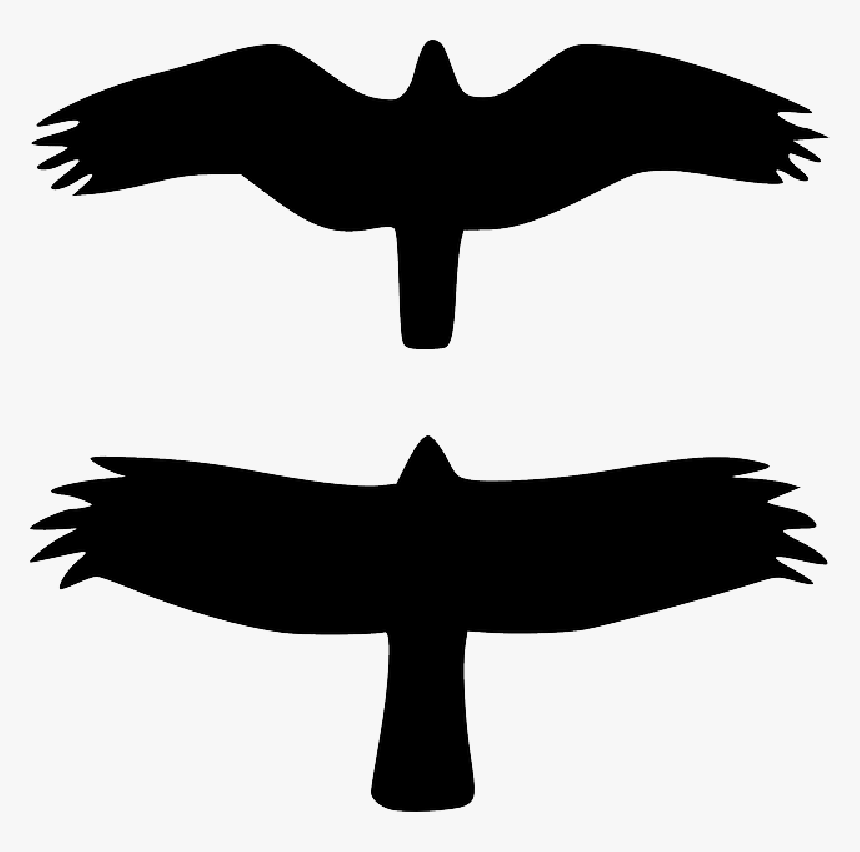 Birds, Silhouette, Black, Flying, Wildlife, Wings - Top View Of Bird Flying, HD Png Download, Free Download