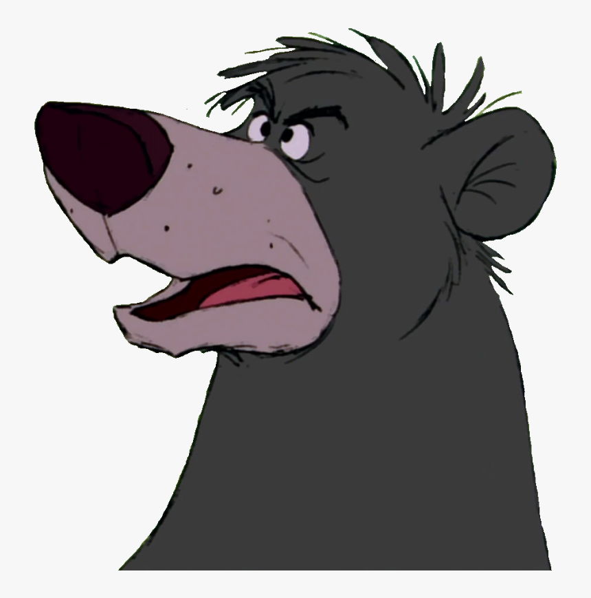 Baloo Download Png Image - Cartoon Baloo, Transparent Png, Free Download