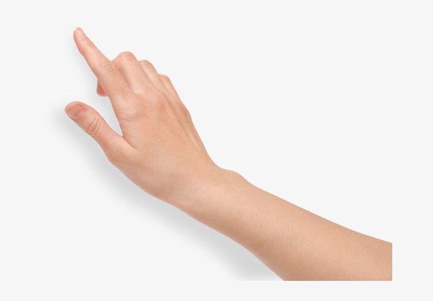 Back Of Hand Transparent, HD Png Download, Free Download