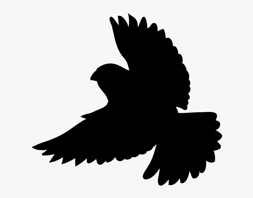 Silhouette Of Flying Bird - Robin Bird Silhouette Flying, HD Png Download, Free Download