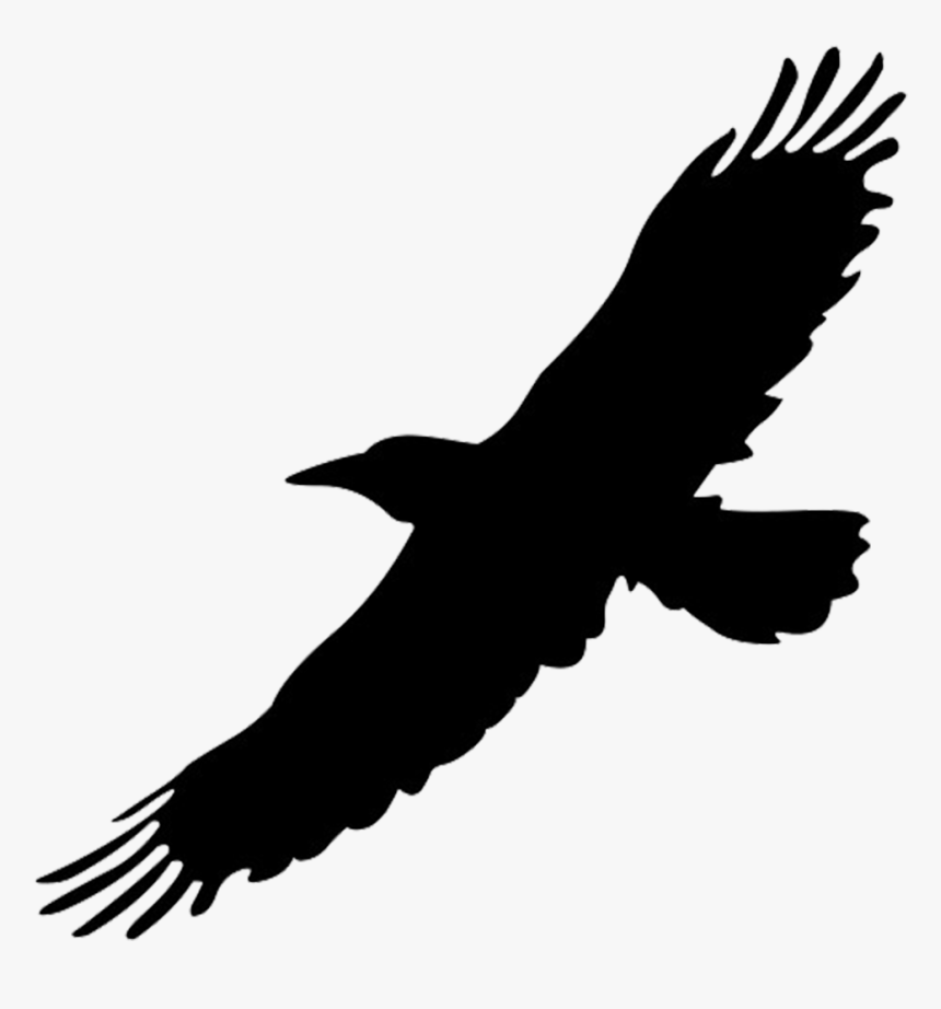 Black Flying Bird Png Clipart , Png Download - Flying Bird Silhouette Clipart, Transparent Png, Free Download