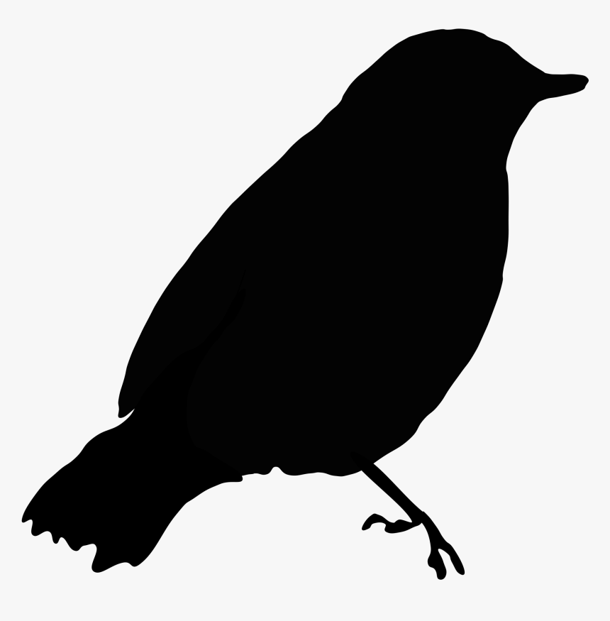 Black Bird Silhouette Svg Clip Arts - Bird Black Clipart, HD Png Download, Free Download