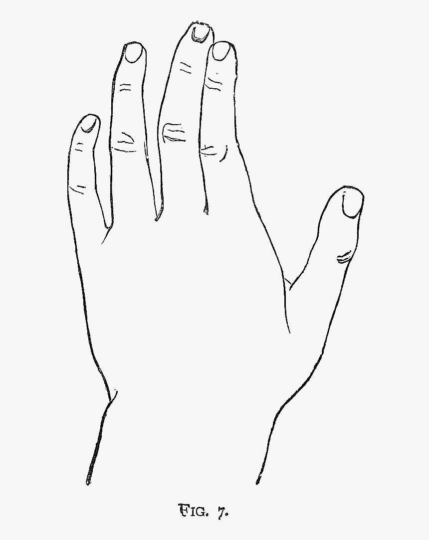 Hand Black And White Two Hands Black And White Clipart - Sketch, HD Png Download, Free Download