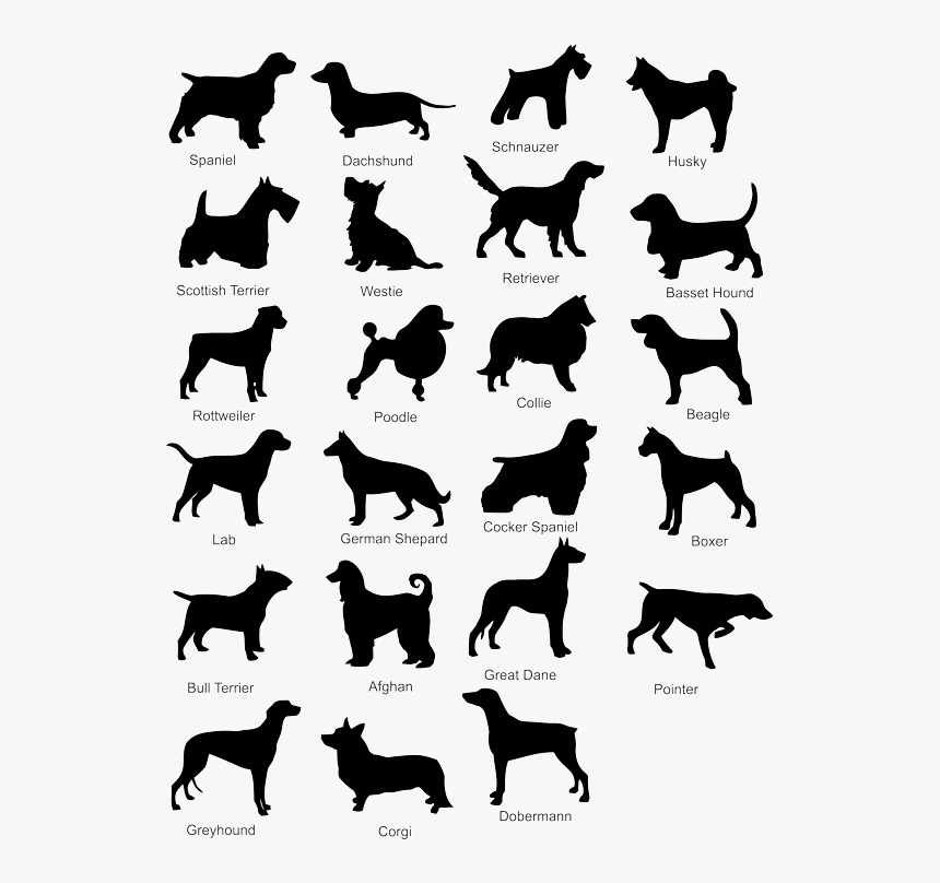 Dog Silhouette Vector Free Download - Dog Chart With Name, HD Png Download, Free Download