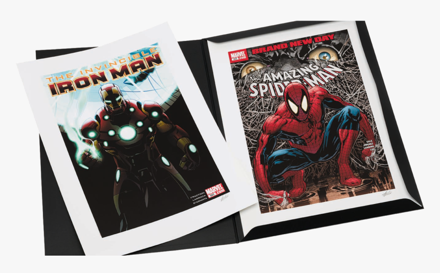 Amazing Spider-man, El Asombroso Hombre Araña, HD Png Download, Free Download