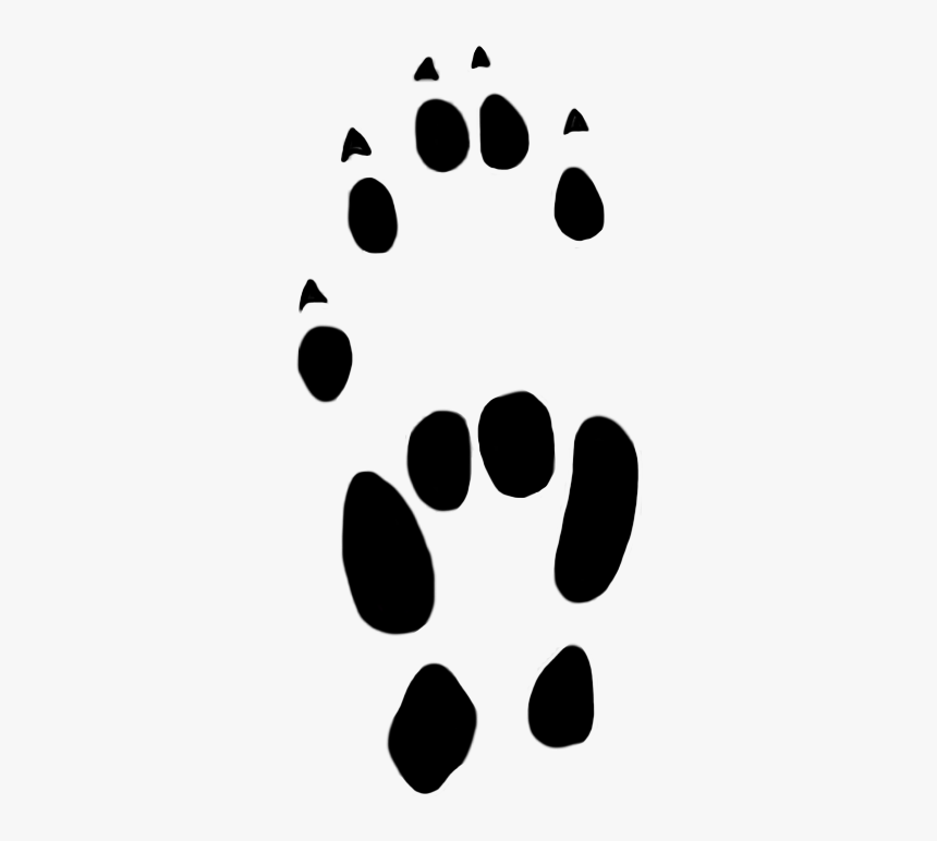 Paw Print Of House Mouse 10 Mm - Mouse Paw Prints, HD Png Download, Free Download