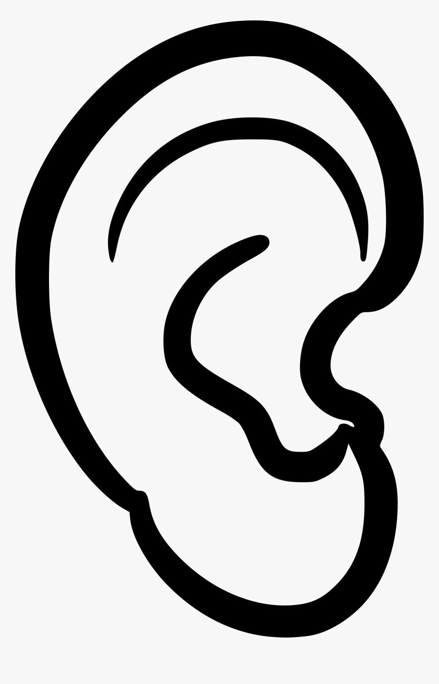 Collection Of Free Auriculae Clipart Auricular Vector - Ear Black And White, HD Png Download, Free Download
