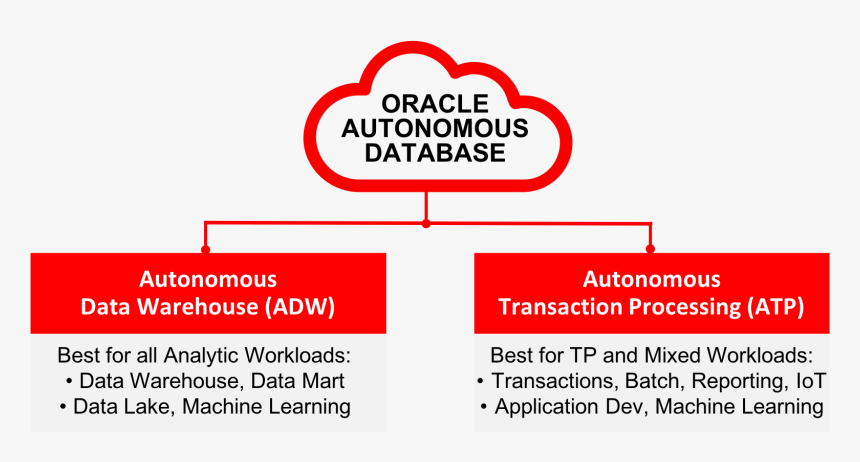 Oracle Autonomous Data Warehouse, HD Png Download, Free Download