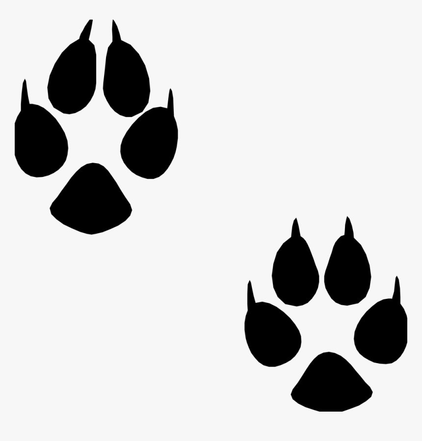 Transparent Footprints Animal - Animal Footprint Png, Png Download, Free Download