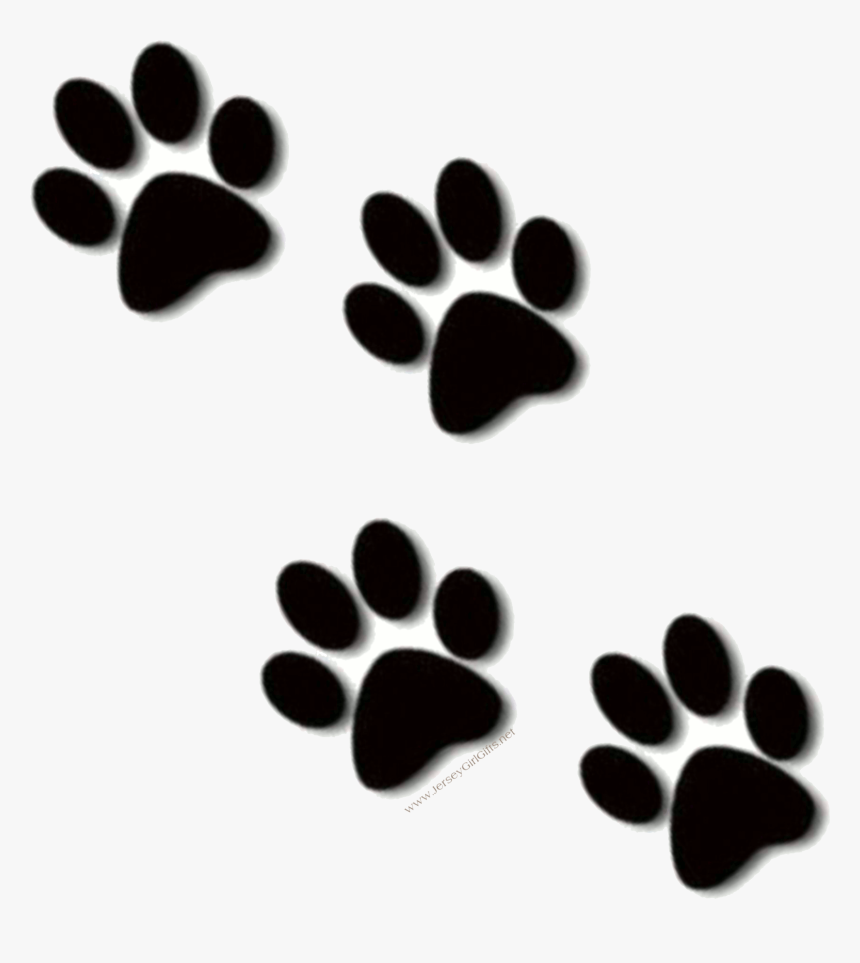Dog Print Paw Prints Lion Clipart Transparent Png, Png Download, Free Download