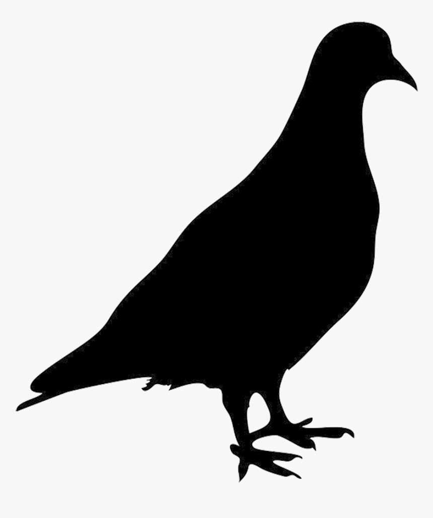 Pigeon Png - Cow Silhouette No Background, Transparent Png, Free Download