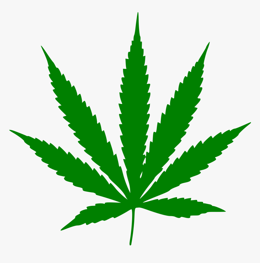 Weed Plant Transparent, HD Png Download, Free Download
