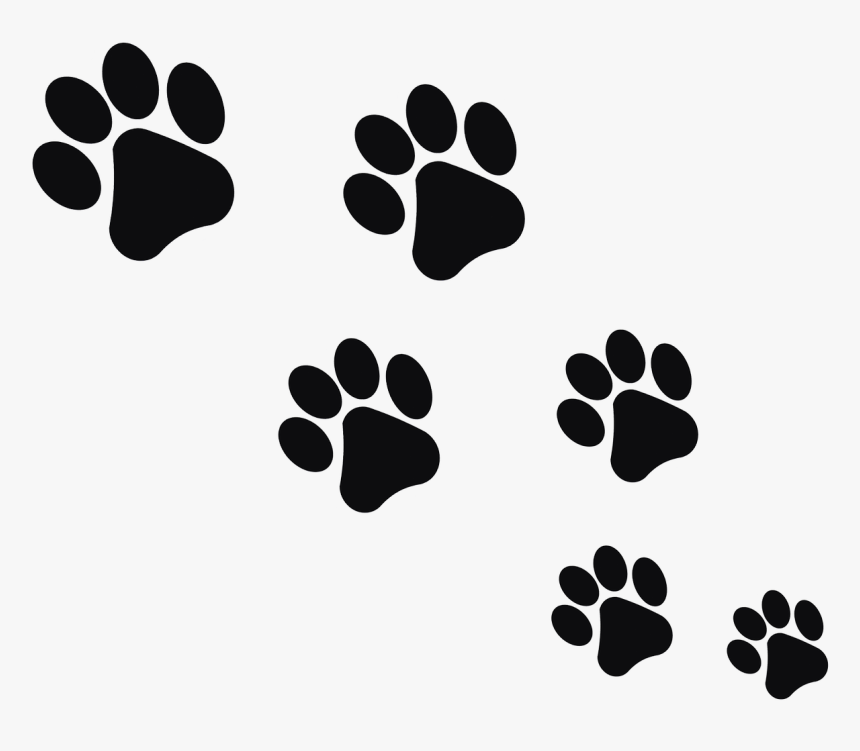 Huellas De Gato Png, Transparent Png, Free Download