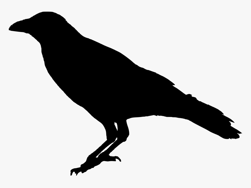 Transparent Raven, HD Png Download, Free Download