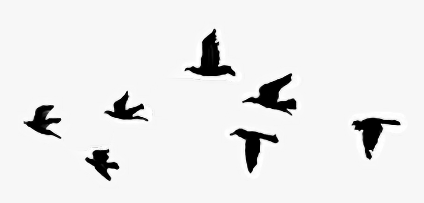 Bird Tattoo Sky Cabs Clip Art Drawing - Easy Black Bird Drawing, HD Png Download, Free Download