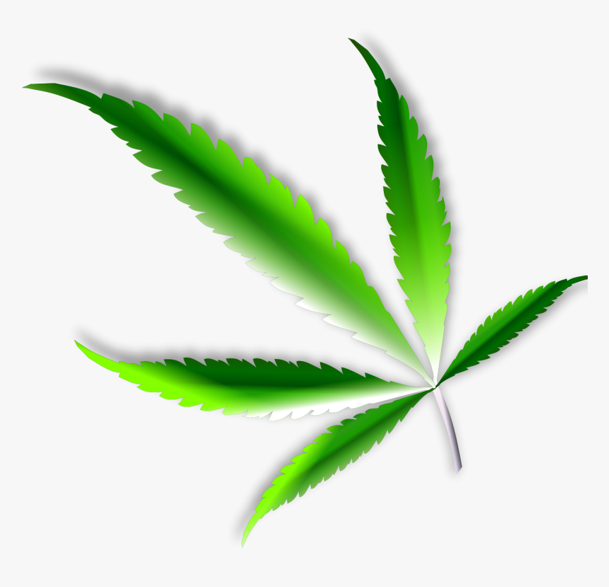 Weed Leaf Png - Marijuana Png, Transparent Png, Free Download