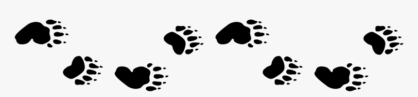 Footprint - Bear Paw Prints Clipart, HD Png Download, Free Download