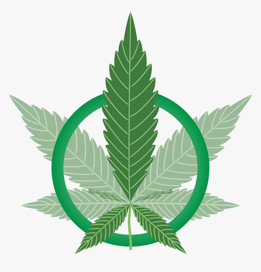 Cannabis Leaf Vector, HD Png Download, Free Download