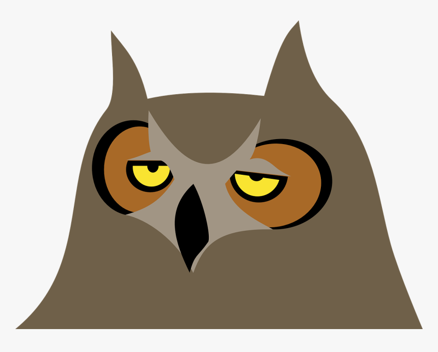 Bored Owl Clipart, HD Png Download, Free Download