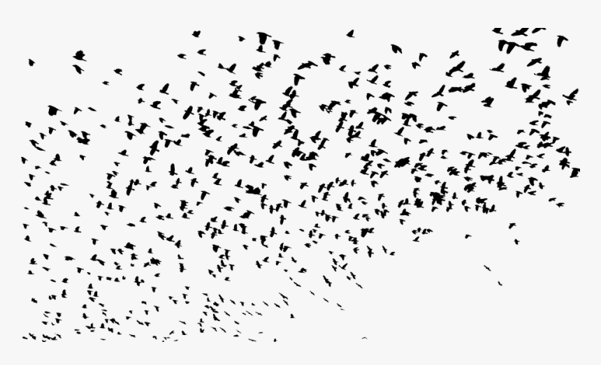 Birds Silhouette Png - Flock Of Birds Silhouette Png, Transparent Png, Free Download