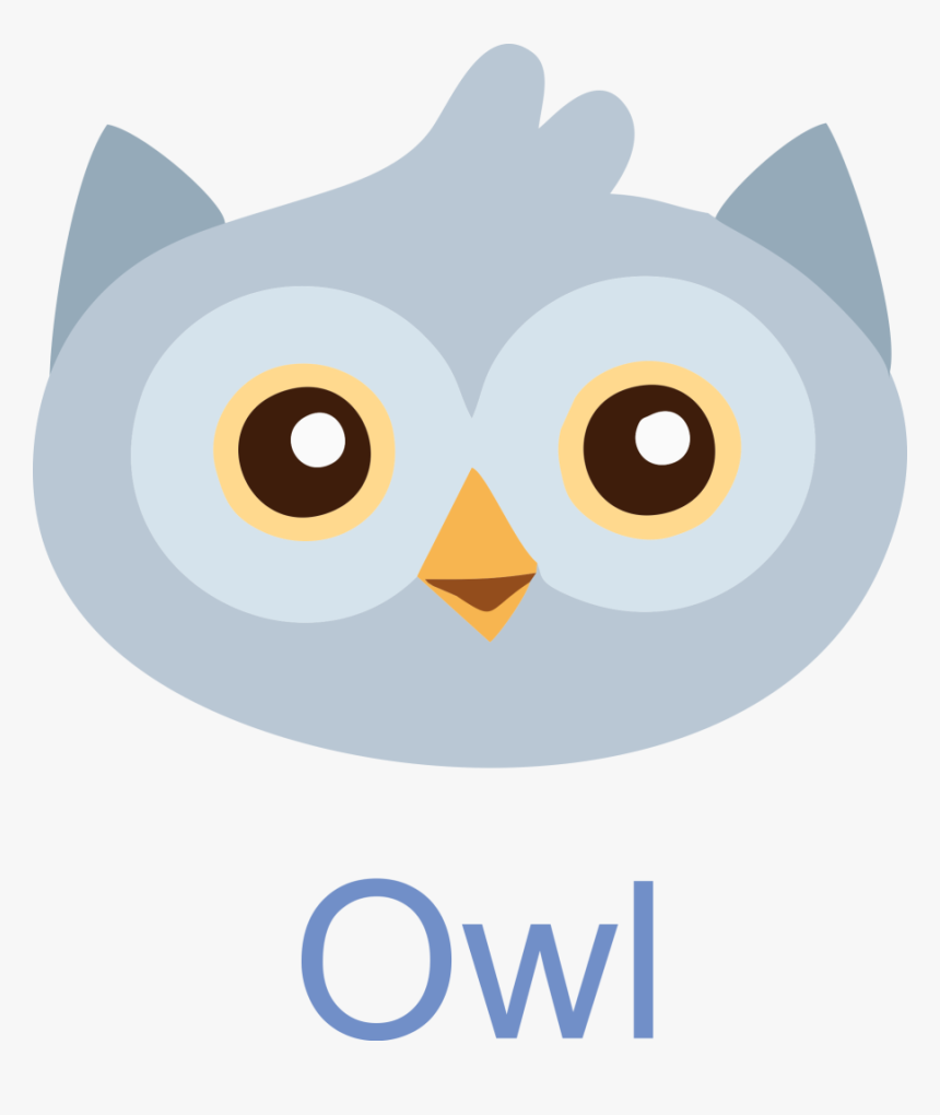 Owl Face Free Image Icon For Print Use, HD Png Download, Free Download