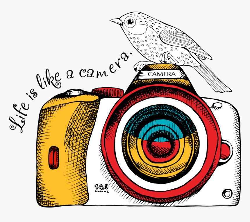 Png Dslr Camera - Vector Dslr Png, Transparent Png, Free Download