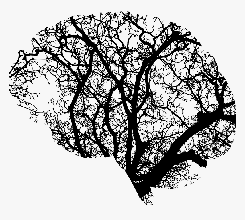 Transparent White Tree Png - Brain Abstract Art, Png Download, Free Download