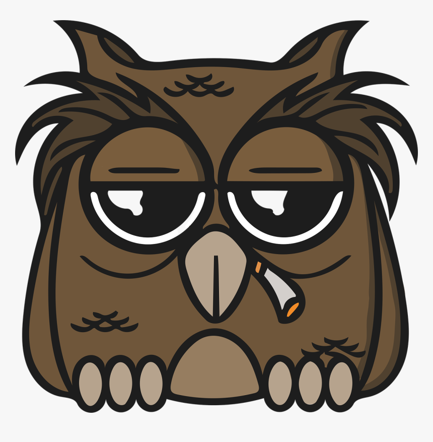 Transparent Owl Face Png - Owl Weed, Png Download, Free Download