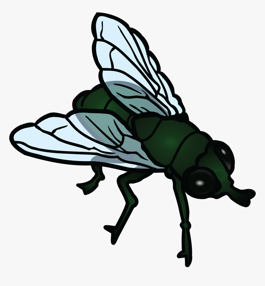 Free Clipart Of A Fly - Fly Clipart Black And White, HD Png Download, Free Download