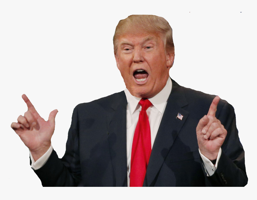 Donald Trump Png, Transparent Png, Free Download