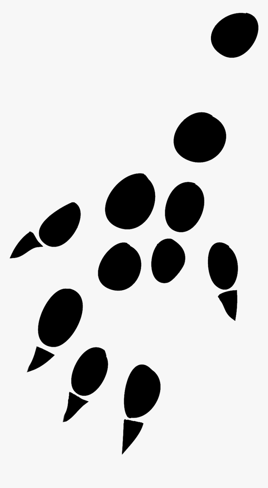 Transparent Tiger Paw Print Png - Paw, Png Download, Free Download