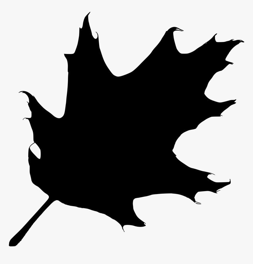 Oak Leaf Silhouette Free Vector 4vector - Oak Tree Leaf Silhouette, HD Png Download, Free Download