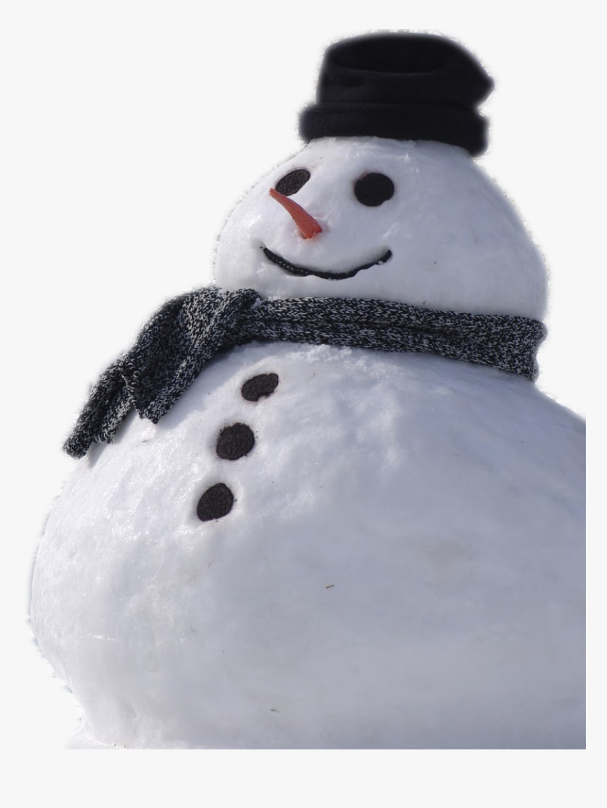Snowman Real - Real Snowman Transparent Background, HD Png Download, Free Download