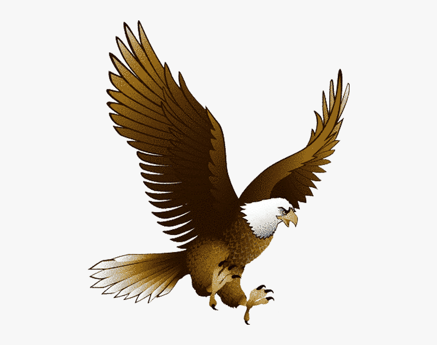 Eagle Png, Transparent Png, Free Download