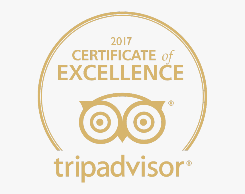 Trip Advisor, HD Png Download, Free Download