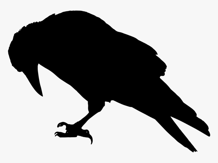 Raven Clip Art, HD Png Download, Free Download