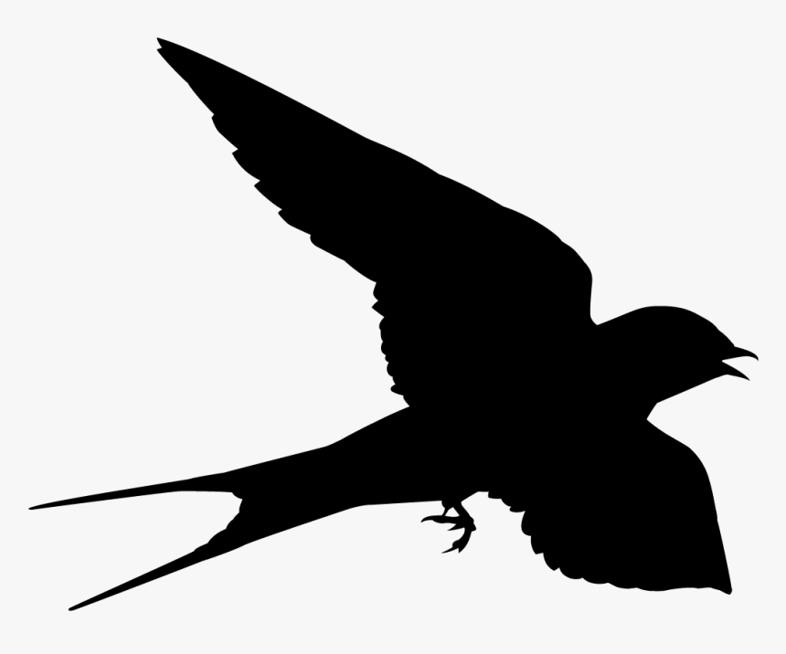 Swallow Png, Transparent Png, Free Download