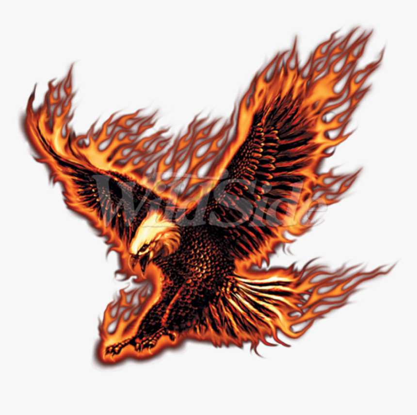 Transparent Eagle - Eagle Fire No Background, HD Png Download - kindpng